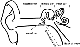 Ventilation tubes (grommets) for otitis media with effusion (OME